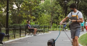 Featured image for How Do Robot Dogs Compare to Real Dogs for Companionship